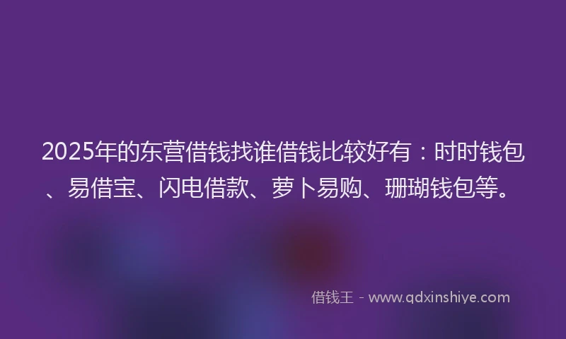 2025年的东营借钱找谁借钱比较好有：时时钱包、易借宝、闪电借款、萝卜易购、珊瑚钱包等。
