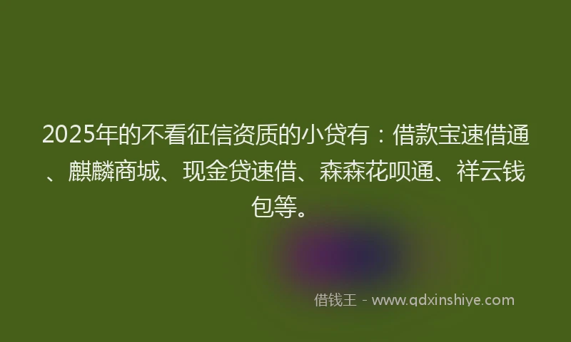 2025年的不看征信资质的小贷有：借款宝速借通、麒麟商城、现金贷速借、森森花呗通、祥云钱包等。