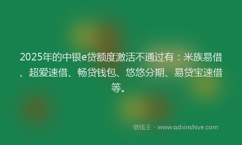 2025年的中银e贷额度激活不通过有：米族易借、超爱速借、畅贷钱包、悠悠分期、易贷宝速借等。