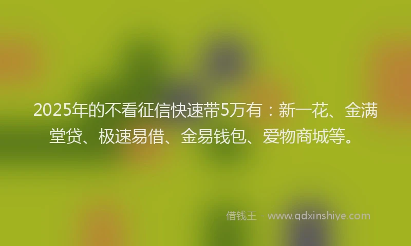 2025年的不看征信快速带5万有：新一花、金满堂贷、极速易借、金易钱包、爱物商城等。