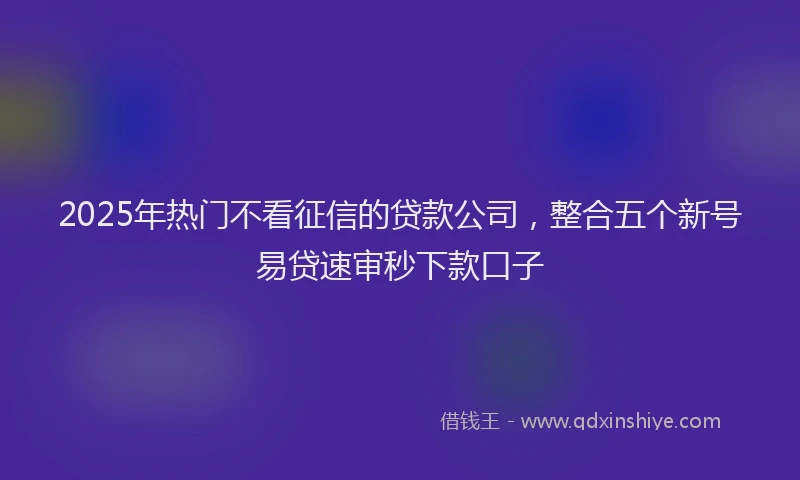 2025年热门不看征信的贷款公司，整合五个新号易贷速审秒下款口子
