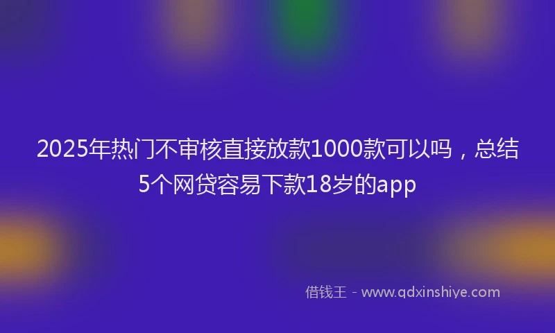 2025年热门不审核直接放款1000款可以吗，总结5个网贷容易下款18岁的app