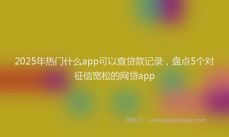 2025年热门什么app可以查贷款记录，盘点5个对征信宽松的网贷app