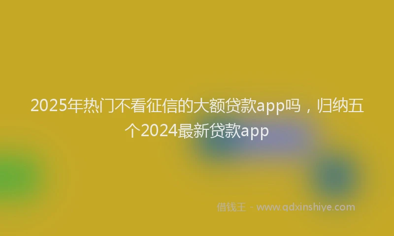 2025年热门不看征信的大额贷款app吗，归纳五个2024最新贷款app