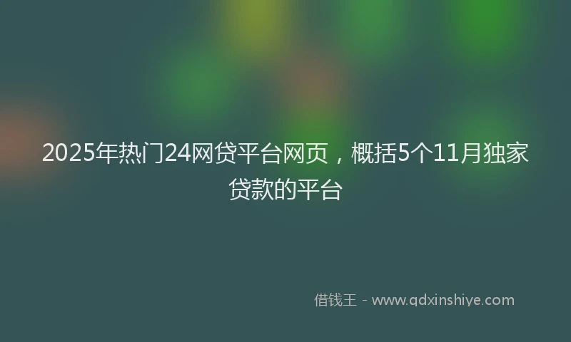 2025年热门24网贷平台网页，概括5个11月独家贷款的平台