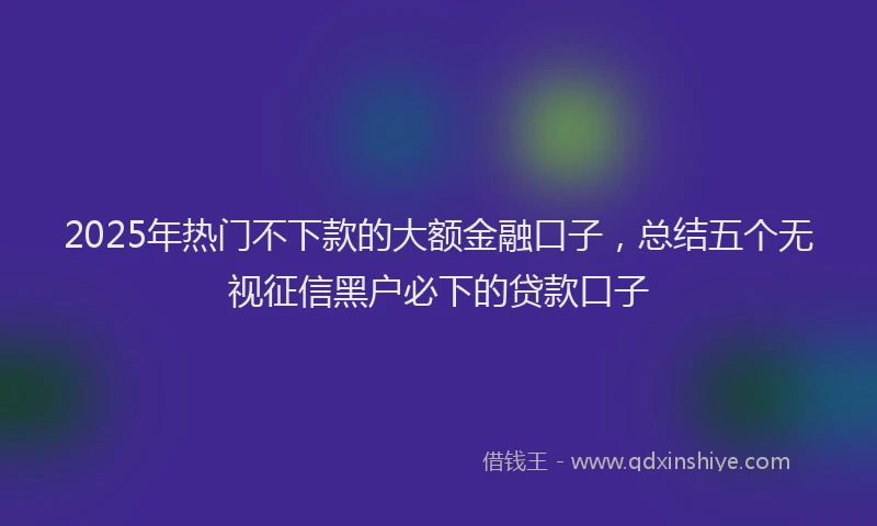 2025年热门不下款的大额金融口子，总结五个无视征信黑户必下的贷款口子