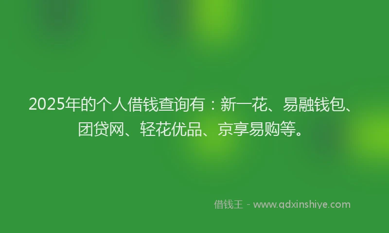 2025年的个人借钱查询有：新一花、易融钱包、团贷网、轻花优品、京享易购等。