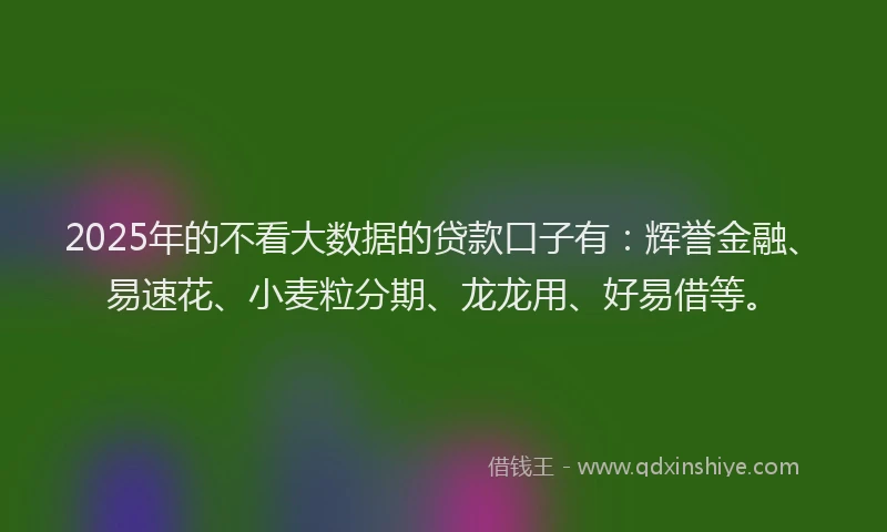 2025年的不看大数据的贷款口子有：辉誉金融、易速花、小麦粒分期、龙龙用、好易借等。