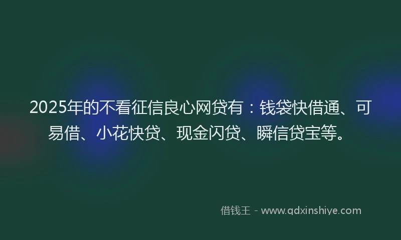 2025年的不看征信良心网贷有：钱袋快借通、可易借、小花快贷、现金闪贷、瞬信贷宝等。