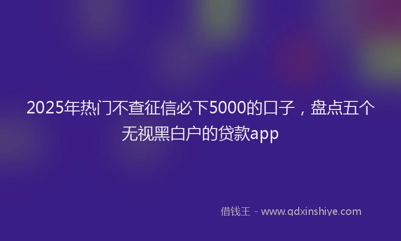 2025年热门不查征信必下5000的口子，盘点五个无视黑白户的贷款app