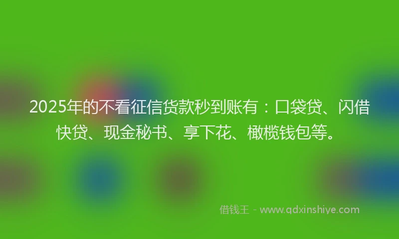 2025年的不看征信货款秒到账有：口袋贷、闪借快贷、现金秘书、享下花、橄榄钱包等。