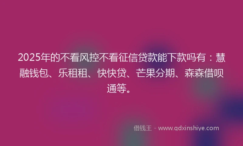 2025年的不看风控不看征信贷款能下款吗有：慧融钱包、乐租租、快快贷、芒果分期、森森借呗通等。