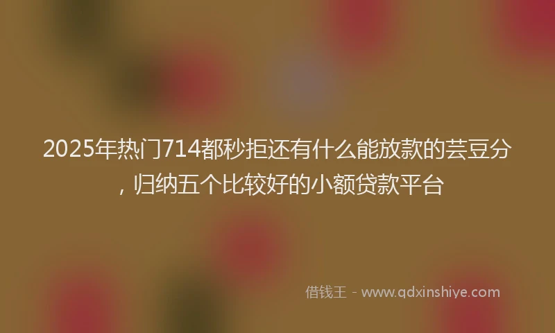 2025年热门714都秒拒还有什么能放款的芸豆分，归纳五个比较好的小额贷款平台