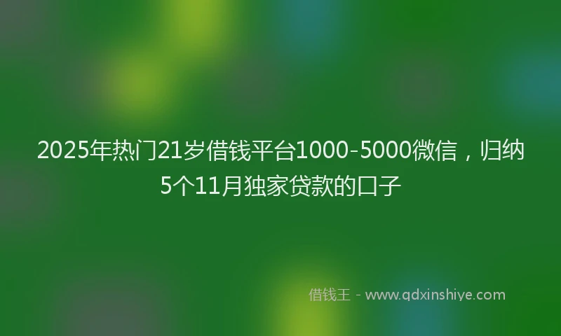 2025年热门21岁借钱平台1000-5000微信，归纳5个11月独家贷款的口子