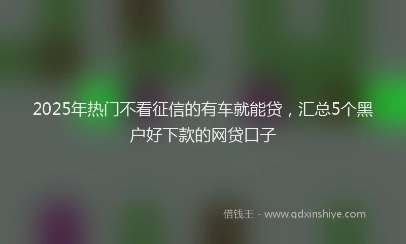 2025年热门不看征信的有车就能贷，汇总5个黑户好下款的网贷口子