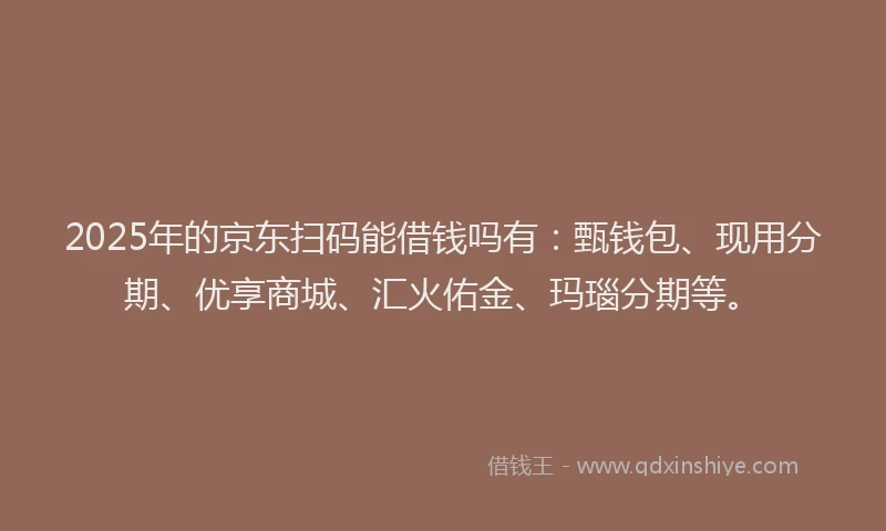 2025年的京东扫码能借钱吗有：甄钱包、现用分期、优享商城、汇火佑金、玛瑙分期等。