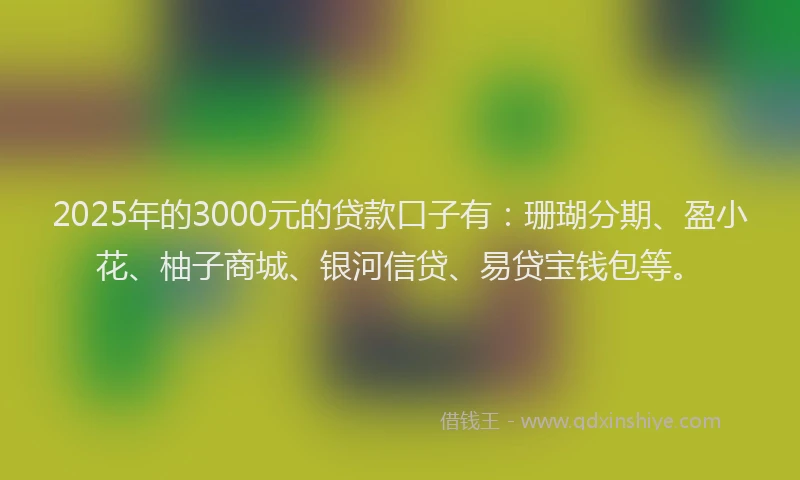 2025年的3000元的贷款口子有：珊瑚分期、盈小花、柚子商城、银河信贷、易贷宝钱包等。