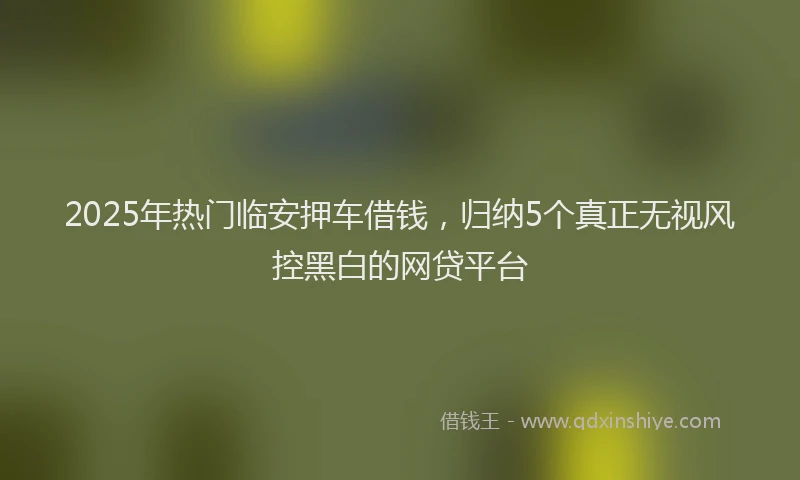 2025年热门临安押车借钱，归纳5个真正无视风控黑白的网贷平台