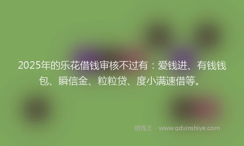 2025年的乐花借钱审核不过有：爱钱进、有钱钱包、瞬信金、粒粒贷、度小满速借等。
