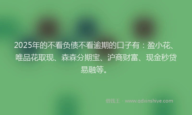 2025年的不看负债不看逾期的口子有：盈小花、唯品花取现、森森分期宝、沪商财富、现金秒贷易融等。