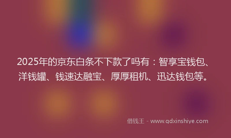 2025年的京东白条不下款了吗有：智享宝钱包、洋钱罐、钱速达融宝、厚厚租机、迅达钱包等。