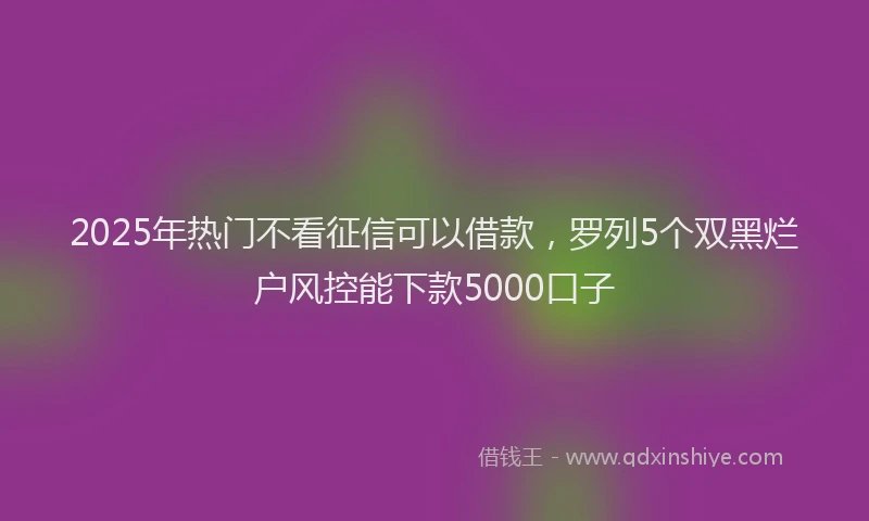 2025年热门不看征信可以借款，罗列5个双黑烂户风控能下款5000口子