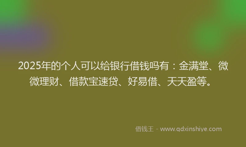 2025年的个人可以给银行借钱吗有：金满堂、微微理财、借款宝速贷、好易借、天天盈等。