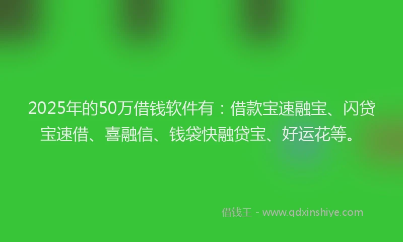 2025年的50万借钱软件有：借款宝速融宝、闪贷宝速借、喜融信、钱袋快融贷宝、好运花等。
