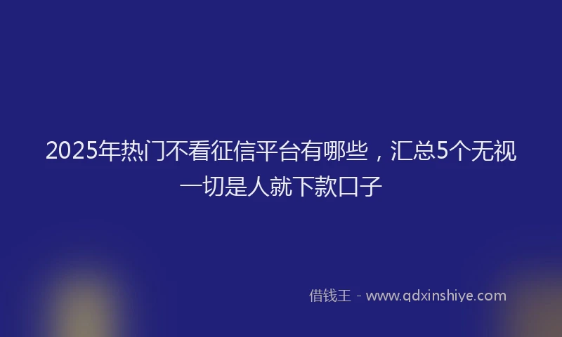 2025年热门不看征信平台有哪些，汇总5个无视一切是人就下款口子