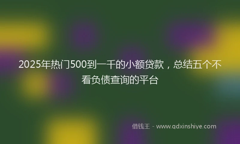 2025年热门500到一千的小额贷款，总结五个不看负债查询的平台