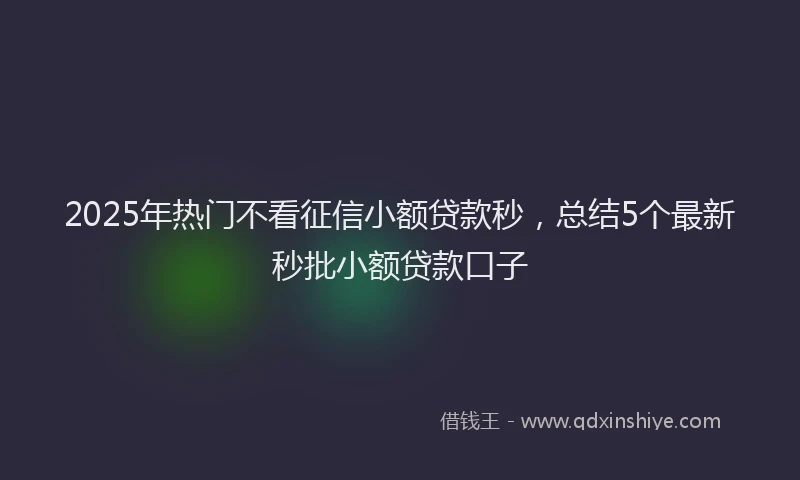 2025年热门不看征信小额贷款秒，总结5个最新秒批小额贷款口子