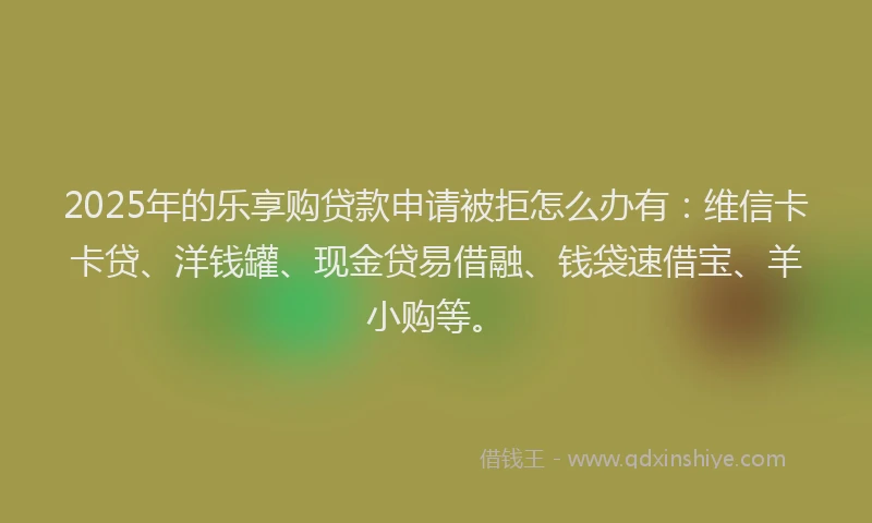 2025年的乐享购贷款申请被拒怎么办有：维信卡卡贷、洋钱罐、现金贷易借融、钱袋速借宝、羊小购等。