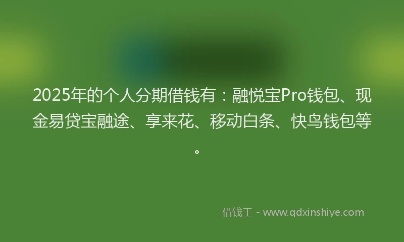 2025年的个人分期借钱有：融悦宝Pro钱包、现金易贷宝融途、享来花、移动白条、快鸟钱包等。