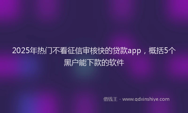 2025年热门不看征信审核快的贷款app，概括5个黑户能下款的软件