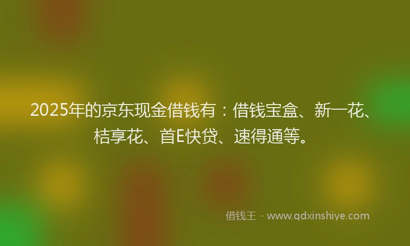 2025年的京东现金借钱有：借钱宝盒、新一花、桔享花、首E快贷、速得通等。