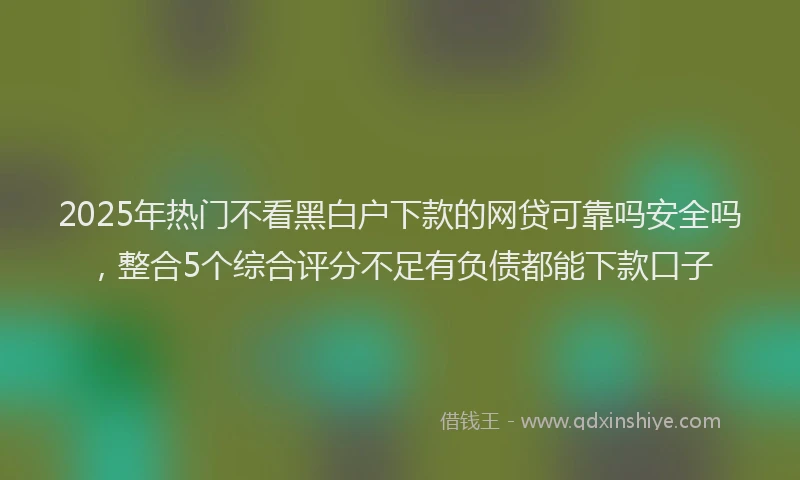 2025年热门不看黑白户下款的网贷可靠吗安全吗，整合5个综合评分不足有负债都能下款口子