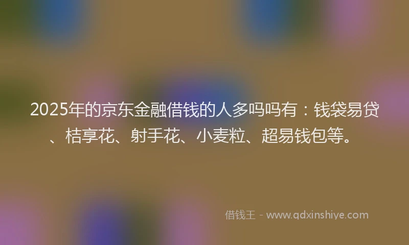 2025年的京东金融借钱的人多吗吗有：钱袋易贷、桔享花、射手花、小麦粒、超易钱包等。