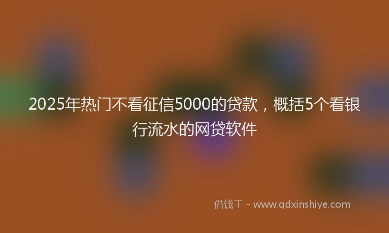 2025年热门不看征信5000的贷款，概括5个看银行流水的网贷软件