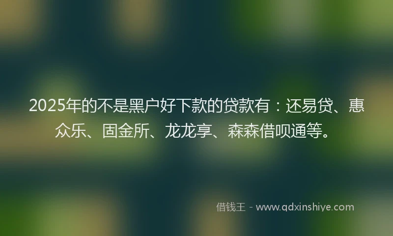 2025年的不是黑户好下款的贷款有：还易贷、惠众乐、固金所、龙龙享、森森借呗通等。