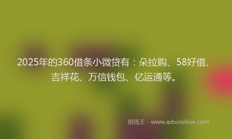 2025年的360借条小微贷有：朵拉购、58好借、吉祥花、万信钱包、亿运通等。