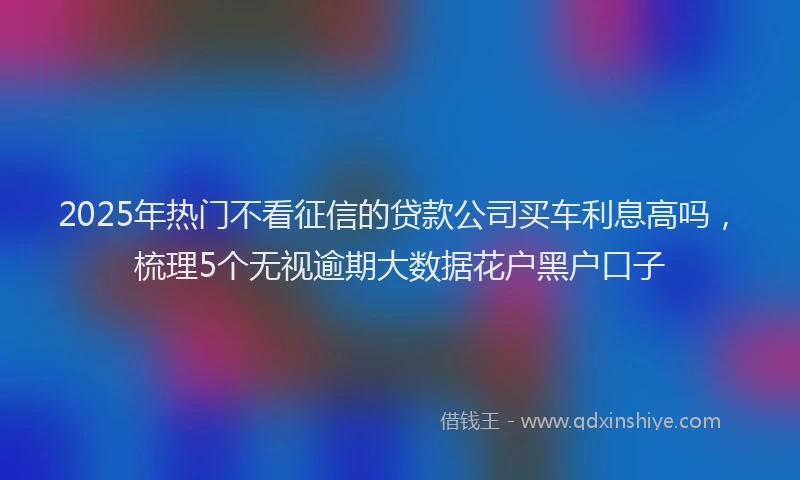 2025年热门不看征信的贷款公司买车利息高吗，梳理5个无视逾期大数据花户黑户口子
