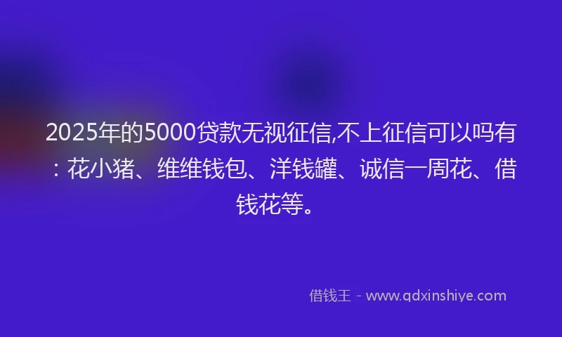 2025年的5000贷款无视征信,不上征信可以吗有：花小猪、维维钱包、洋钱罐、诚信一周花、借钱花等。