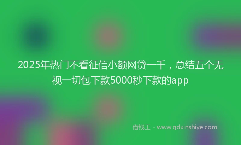 2025年热门不看征信小额网贷一千，总结五个无视一切包下款5000秒下款的app