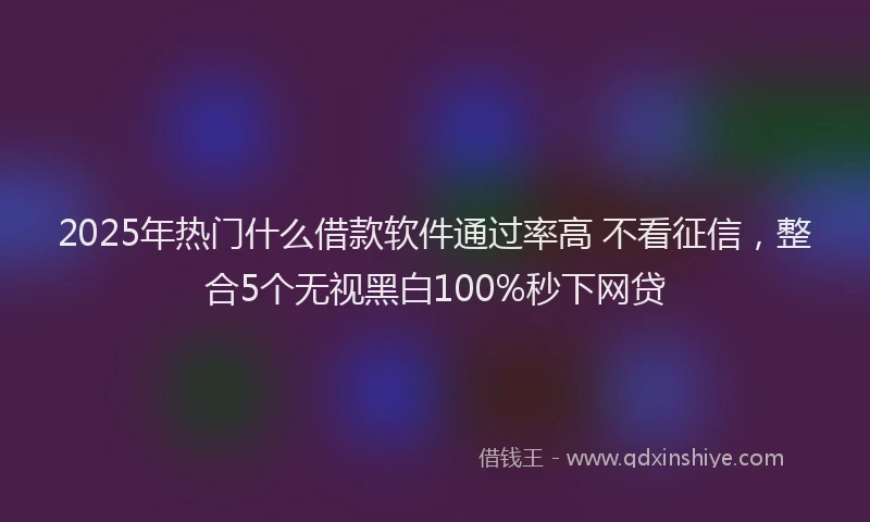 2025年热门什么借款软件通过率高 不看征信，整合5个无视黑白100%秒下网贷