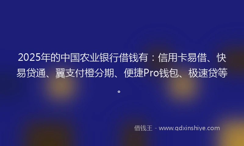 2025年的中国农业银行借钱有：信用卡易借、快易贷通、翼支付橙分期、便捷Pro钱包、极速贷等。