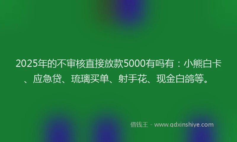 2025年的不审核直接放款5000有吗有：小熊白卡、应急贷、琉璃买单、射手花、现金白鸽等。