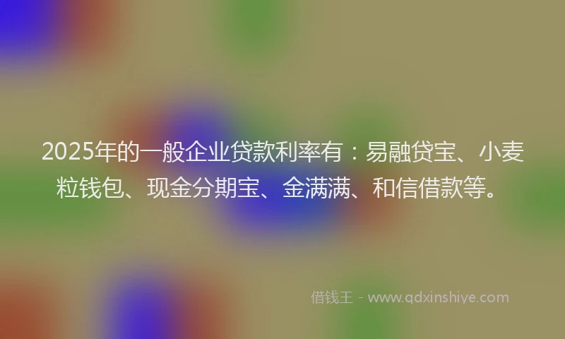 2025年的一般企业贷款利率有：易融贷宝、小麦粒钱包、现金分期宝、金满满、和信借款等。