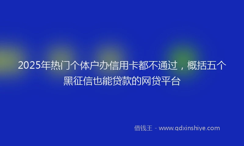 2025年热门个体户办信用卡都不通过，概括五个黑征信也能贷款的网贷平台
