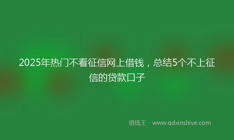 2025年热门不看征信网上借钱，总结5个不上征信的贷款口子