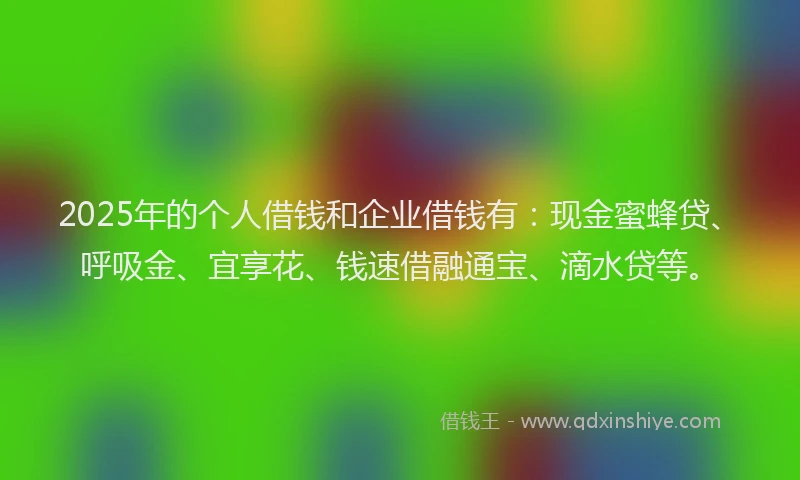 2025年的个人借钱和企业借钱有：现金蜜蜂贷、呼吸金、宜享花、钱速借融通宝、滴水贷等。